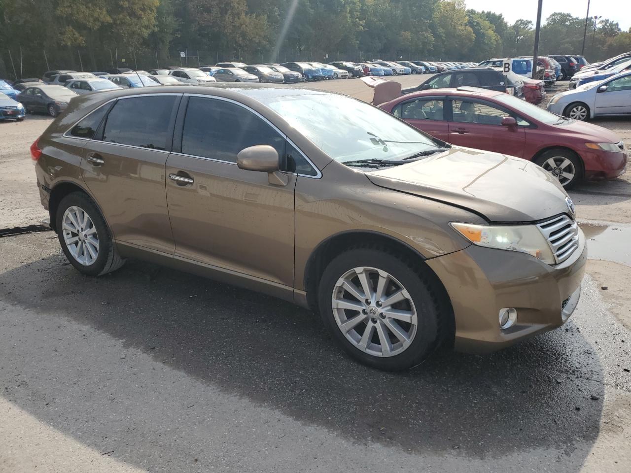 2010 Toyota Venza VIN: 4T3BA3BB9AU013011 Lot: 71390334