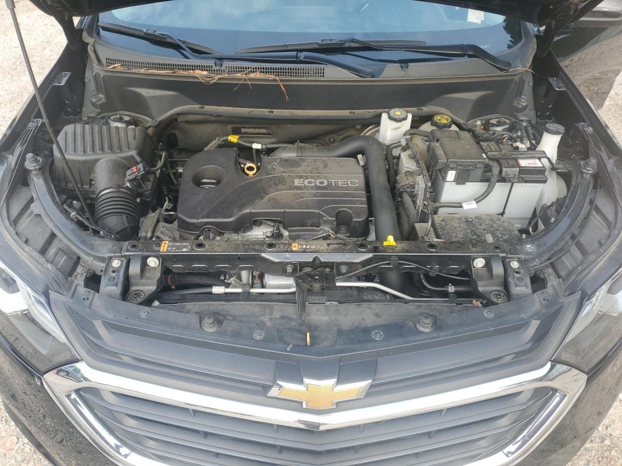 2GNAXUEVXK6155250 2019 Chevrolet Equinox Lt