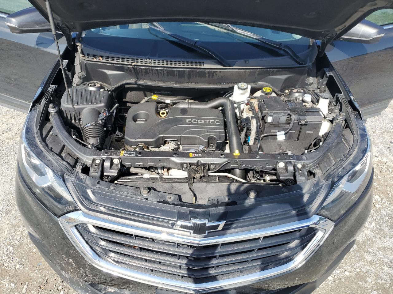 3GNAXKEV4KS603441 2019 Chevrolet Equinox Lt