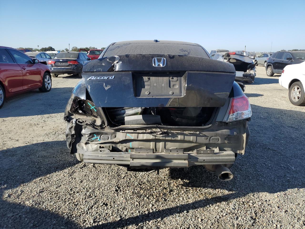 2010 Honda Accord Exl VIN: 1HGCP2F81AA132635 Lot: 72773794