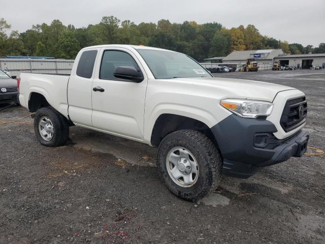  TOYOTA TACOMA 2020 Белы