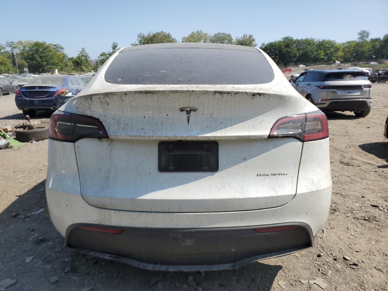 2024 Tesla Model Y VIN: 7SAYGDEE7PF785495 Lot: 69854384