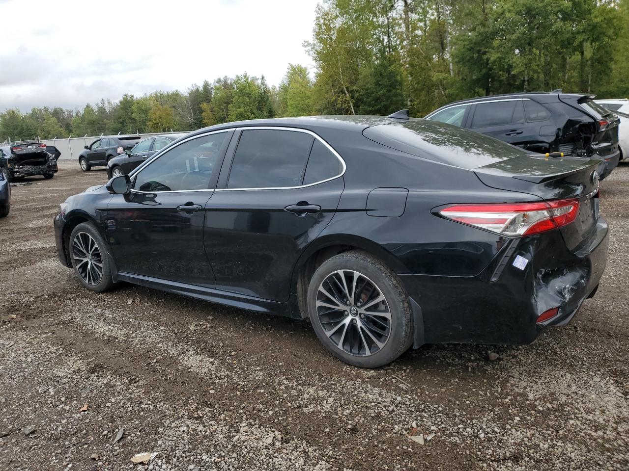 4T1B11HKXKU843745 2019 TOYOTA CAMRY - Image 2