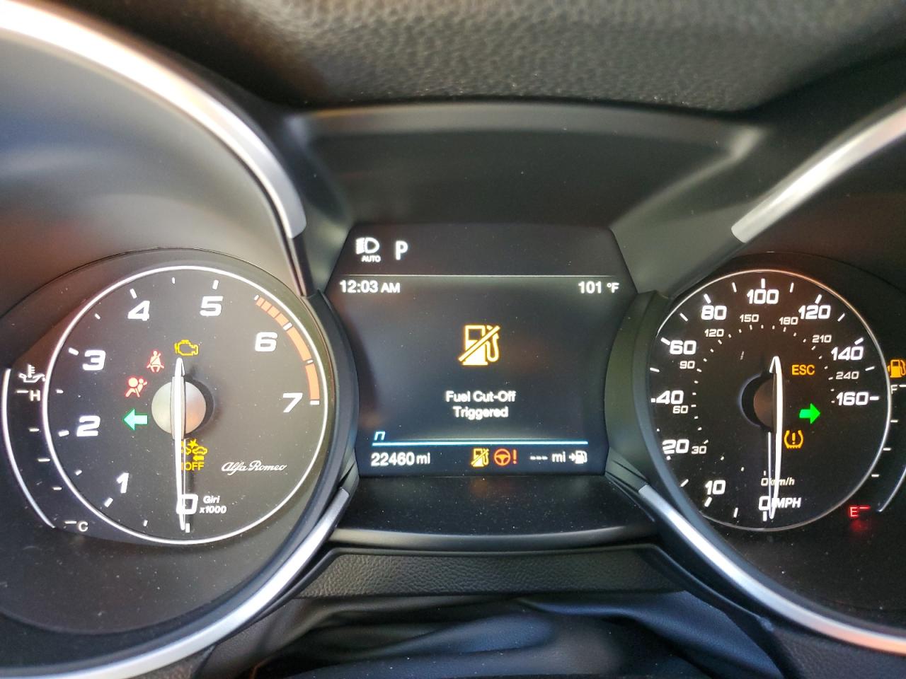 2022 Alfa Romeo Stelvio VIN: ZASPAJAN3N7D46965 Lot: 72389214