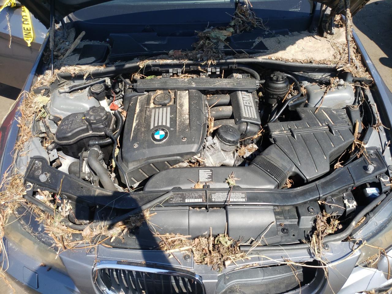 2011 BMW 328 Xi Sulev VIN: WBAPK5C53BF122460 Lot: 69800094