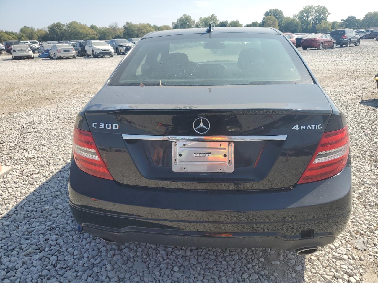 2013 Mercedes-Benz C 300 4Matic VIN: WDDGF8AB5DR272403 Lot: 71784264