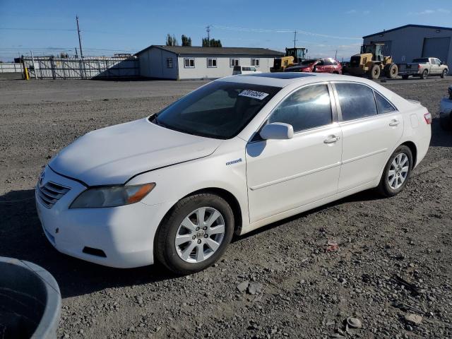 2007 Toyota Camry Hybrid