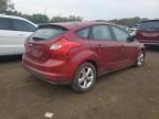 1FADP3K28DL****** Salvage and Repairable 2013 Ford Focus in CT - New Britain