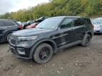 2021 Ford Explorer Police Interceptor for Sale in Marlboro, NY - Rear End