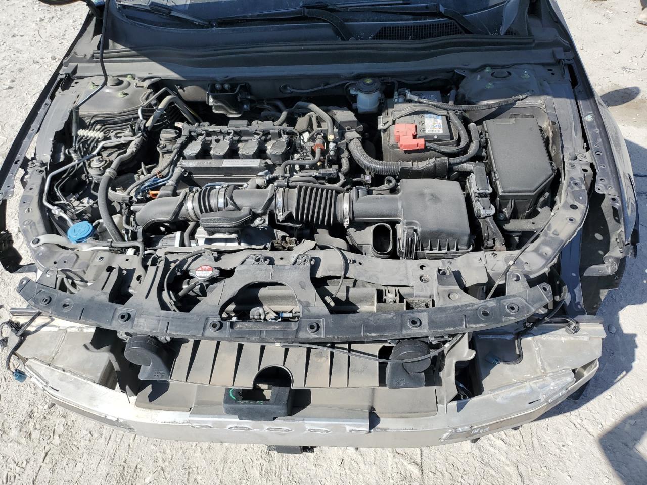 1HGCV1F39KA098501 2019 Honda Accord Sport