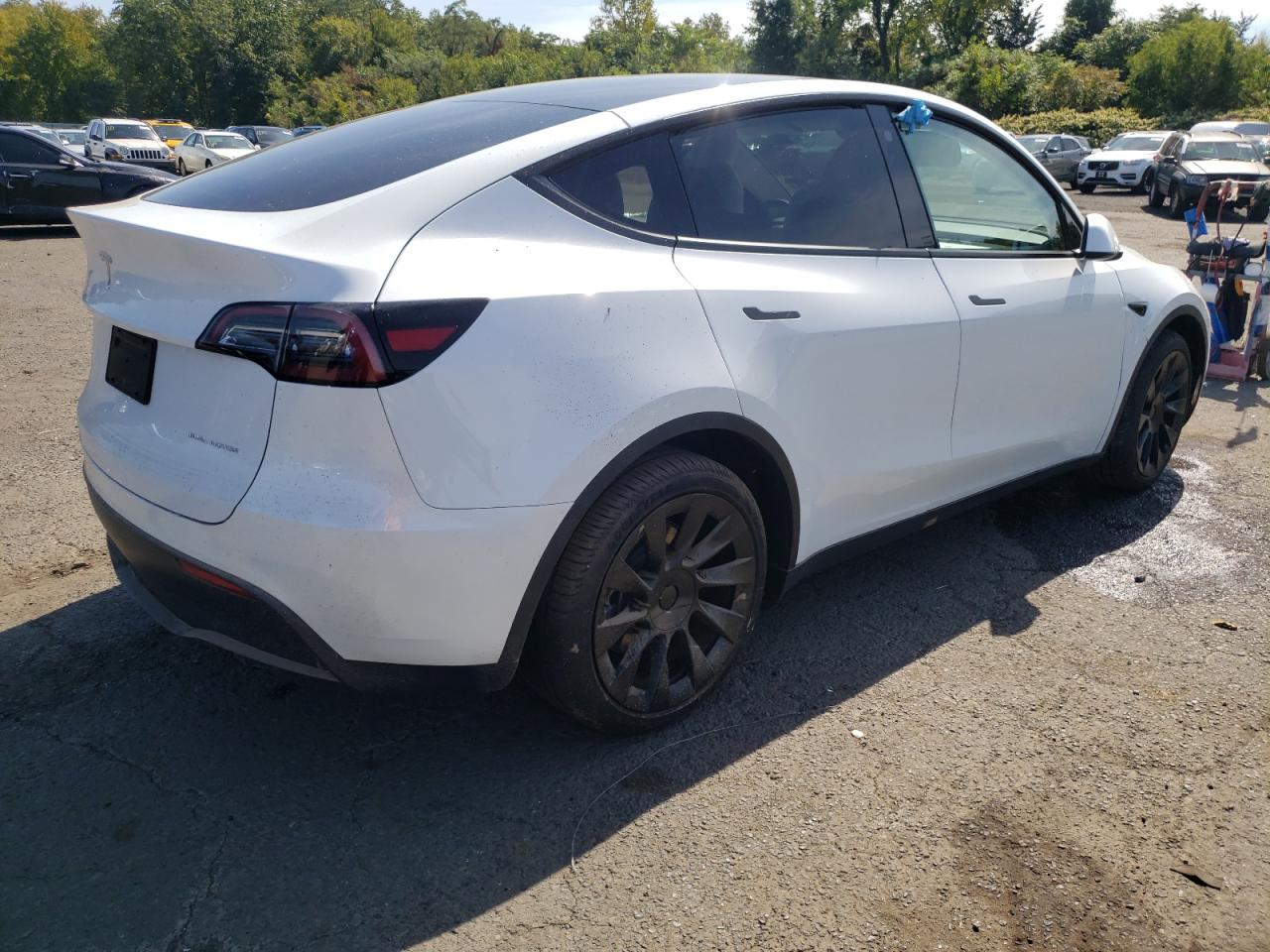 2023 Tesla Model Y VIN: 7SAYGDEE2PF757572 Lot: 70364304