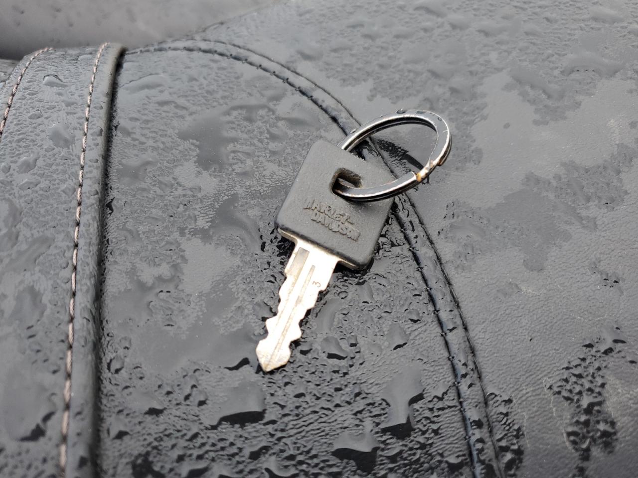 2006 Harley-Davidson Xl883 L VIN: 1HD4CMM176K439470 Lot: 72624334