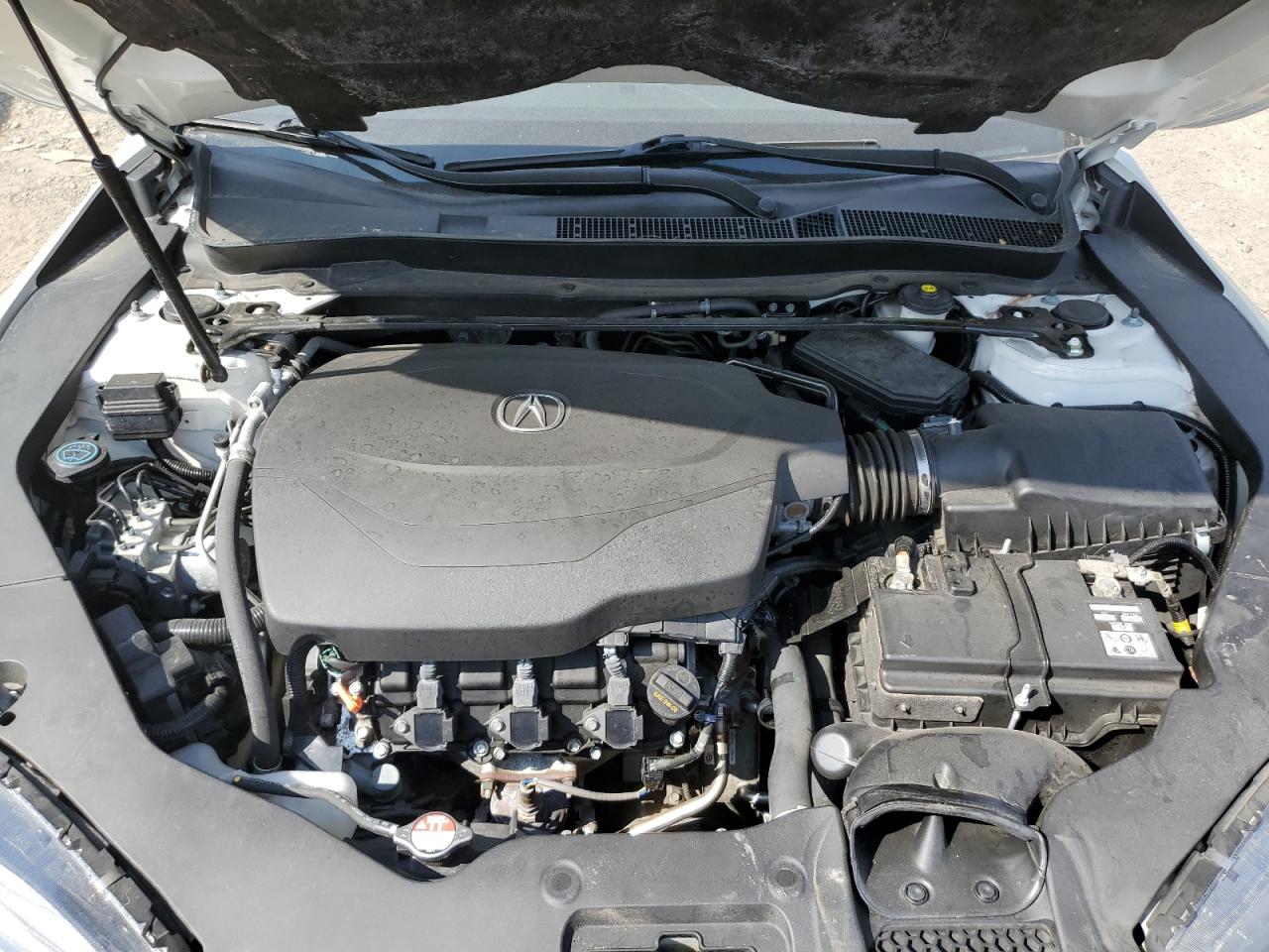 19UUB3F65KA001040 2019 Acura Tlx Technology