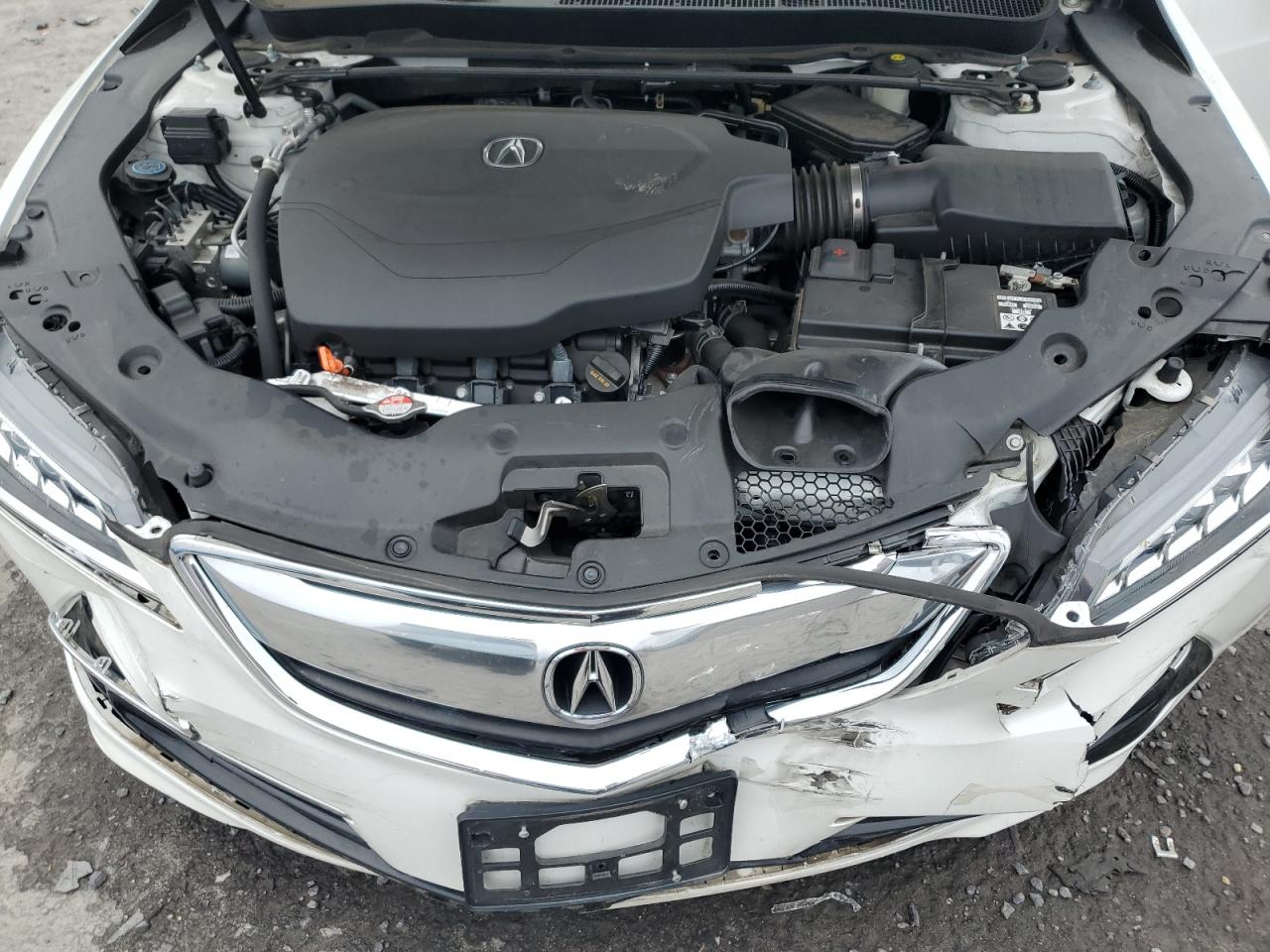 19UUB2F32FA012938 2015 Acura Tlx