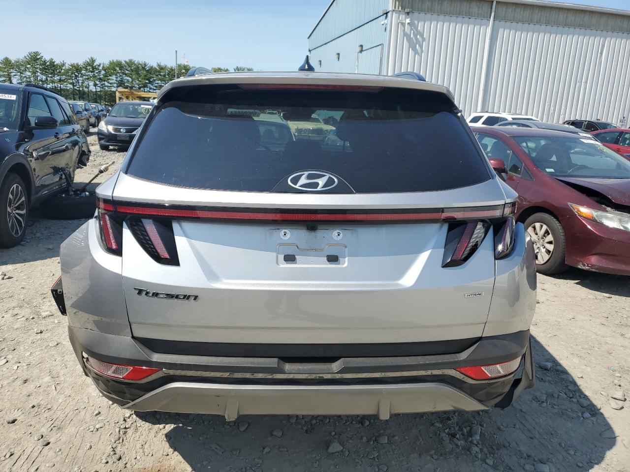 2023 Hyundai Tucson Limited VIN: 5NMJECAE0PH165672 Lot: 69008664