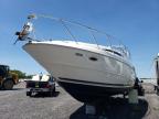 1999 Bayl Boat for Sale in Fredericksburg, VA - Water/Flood