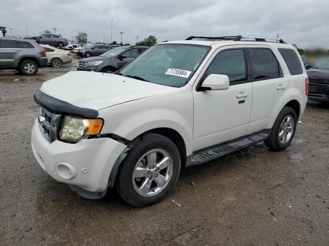 2011 Ford Escape Limited