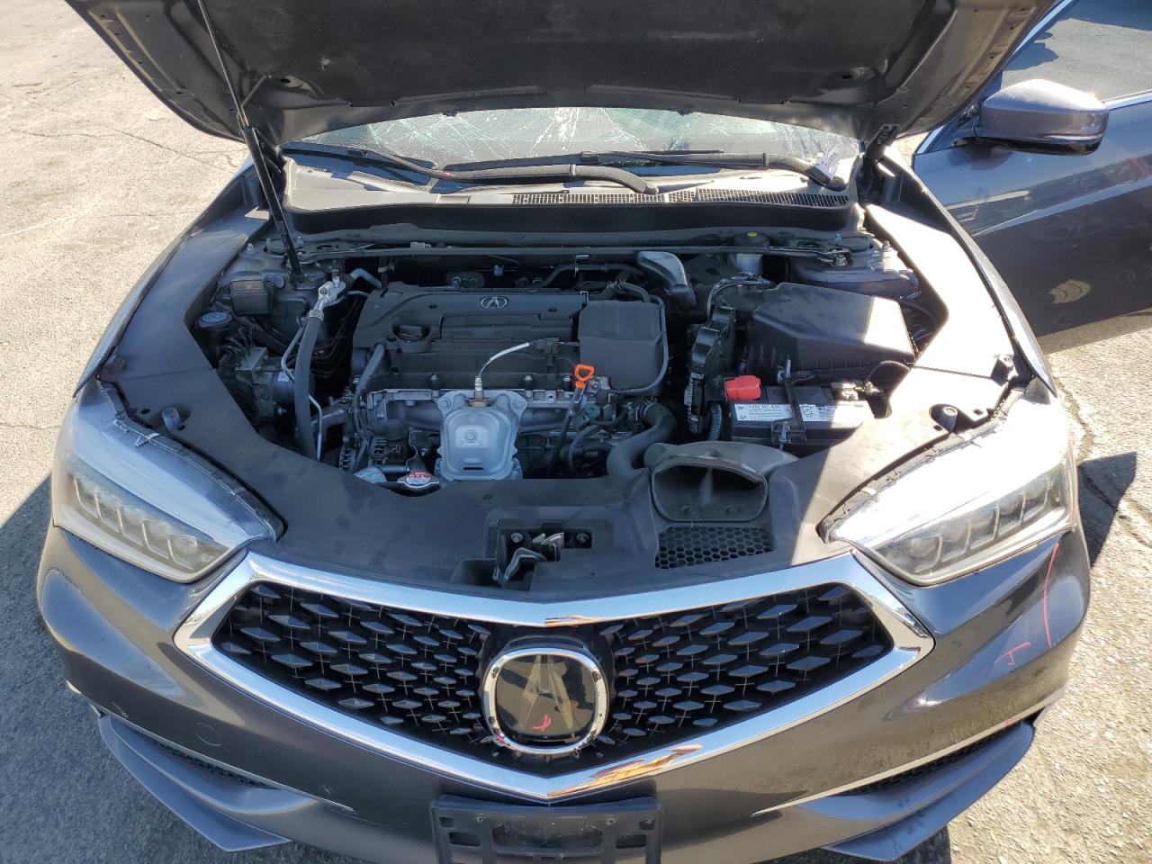 19UUB1F34KA000195 2019 Acura Tlx