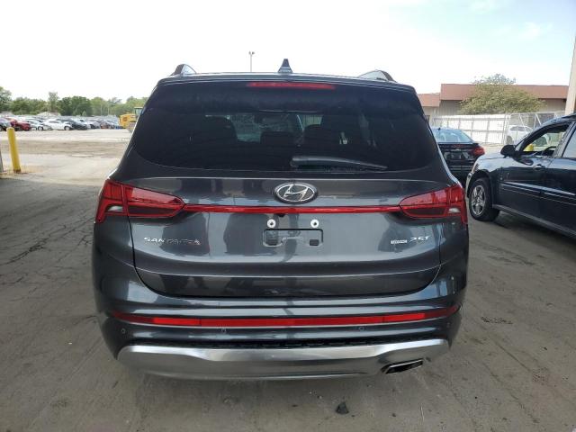 5NMS5DAL8PH594664 Hyundai Santa Fe C 6