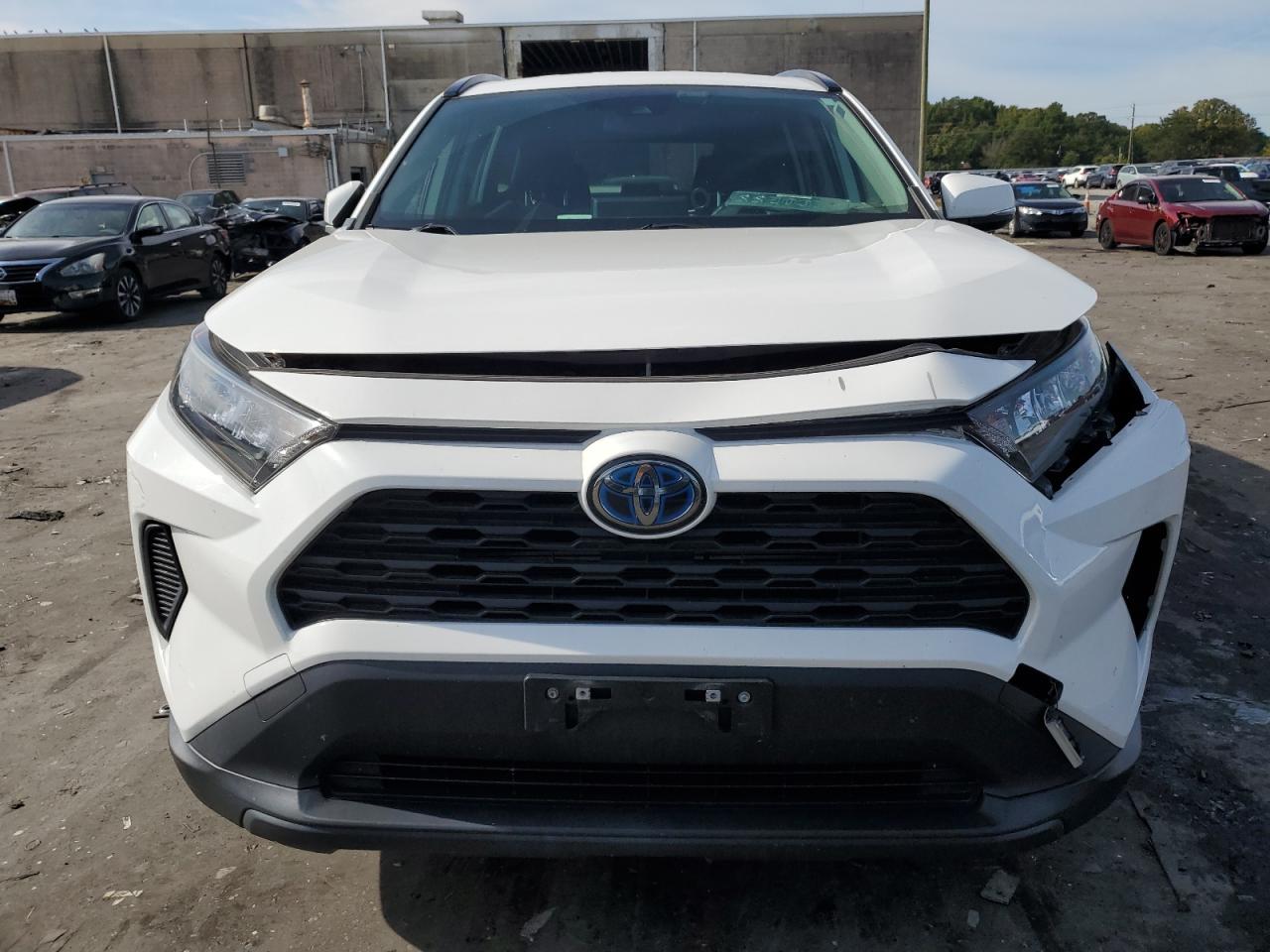 2019 Toyota Rav4 Le VIN: JTMMWRFV1KD043460 Lot: 70181734