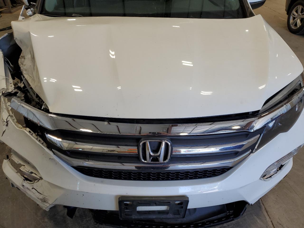 2018 Honda Pilot Exl VIN: 5FNYF6H53JB007144 Lot: 73501334