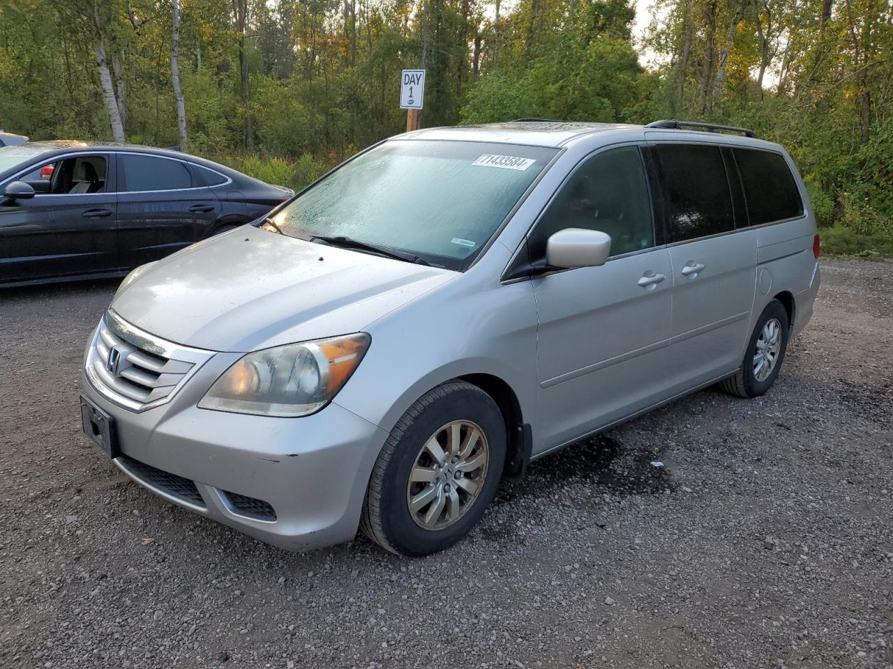 2009 Honda Odyssey Exl VIN: 5FNRL38619B501034 Lot: 71433584