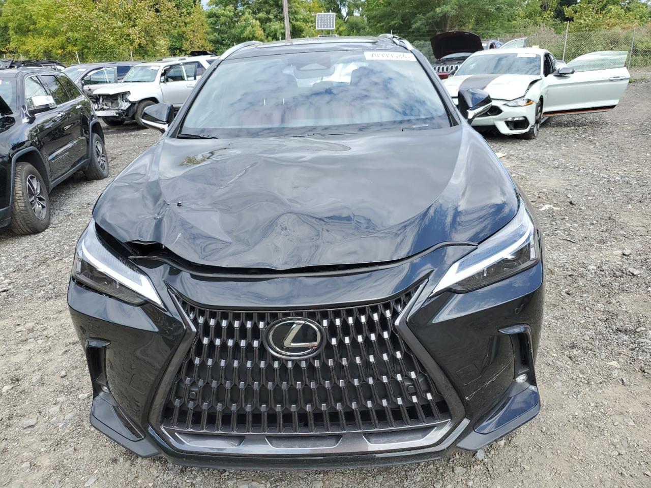 VIN 2T2AGCEZ4SC063101 2025 LEXUS NX 350 BAS no.5