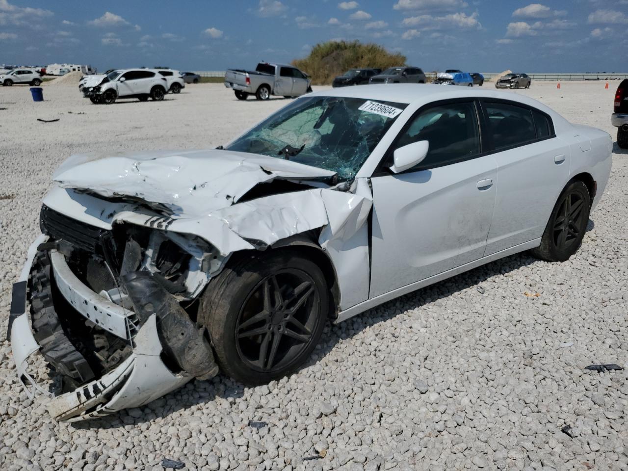 2C3CDXBG9KH673389 2019 DODGE CHARGER - Image 1