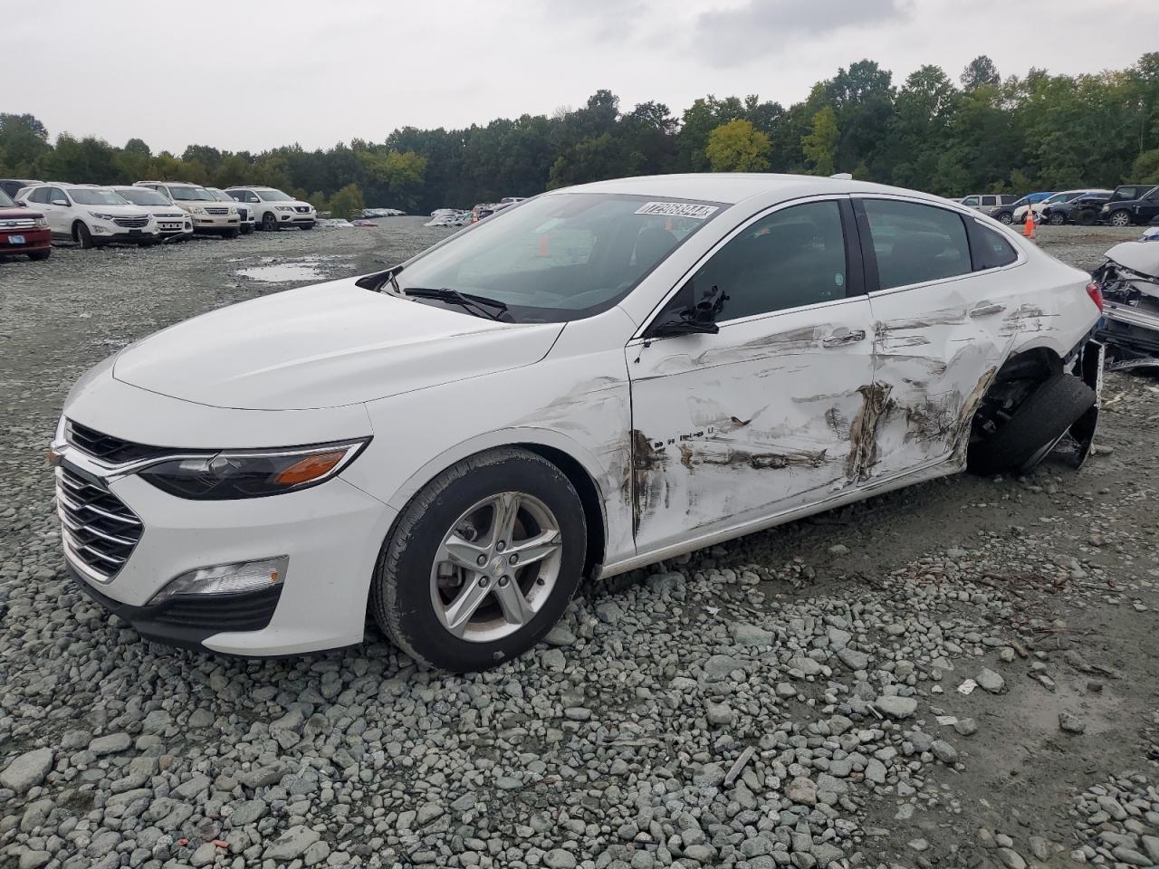 VIN 1G1ZD5ST8RF120437 2024 CHEVROLET MALIBU no.1