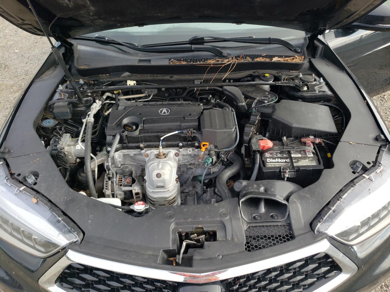 19UUB1F36KA004488 2019 Acura Tlx