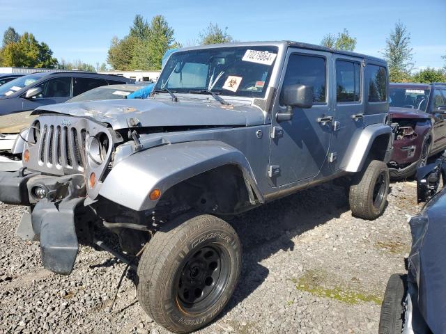  JEEP WRANGLER 2013 Сріблястий