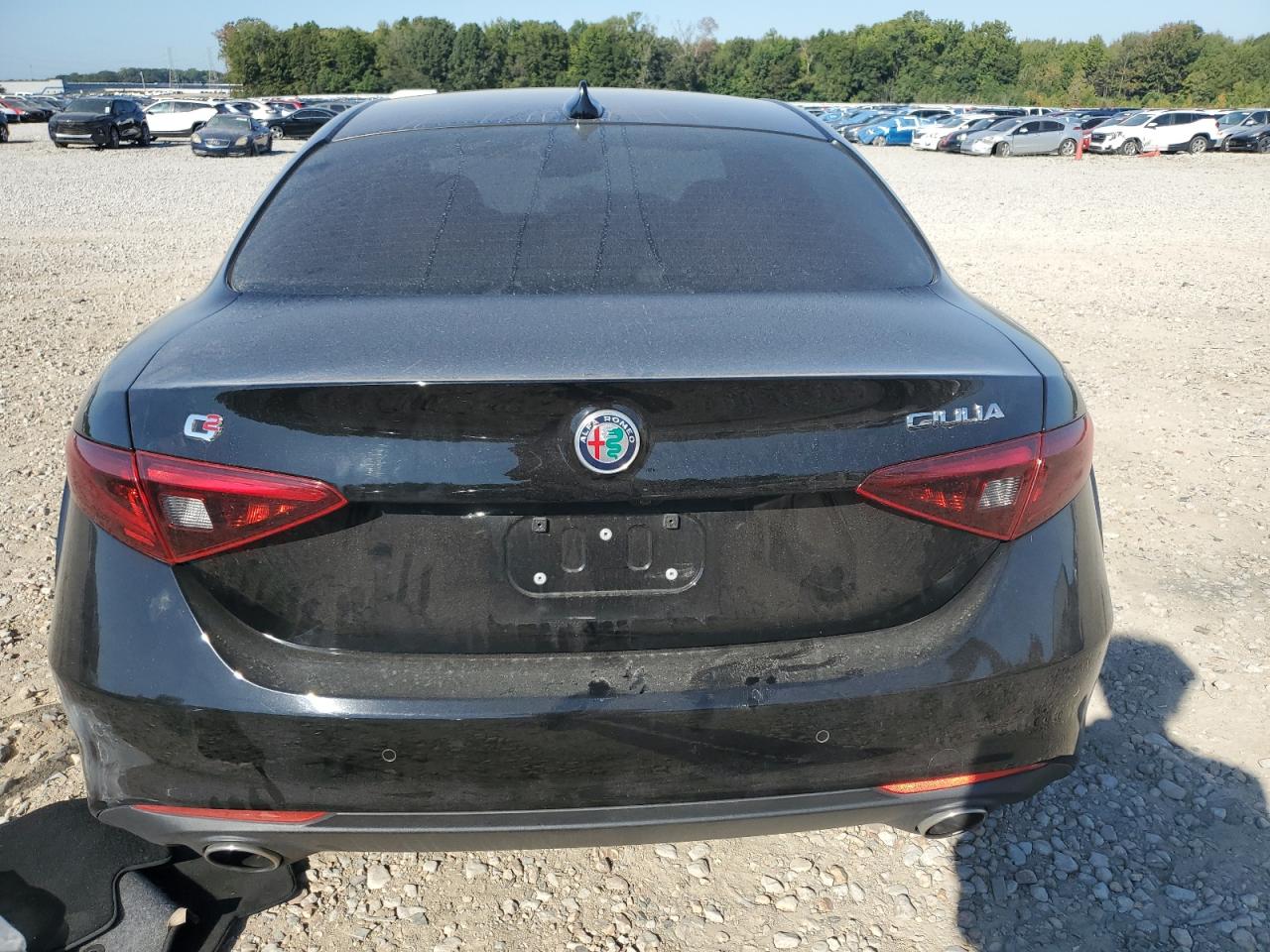 2019 Alfa Romeo Giulia Ti VIN: ZARFAMBN1K7599529 Lot: 73163644