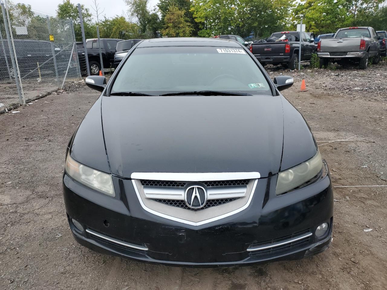 2008 Acura Tl VIN: 19UUA66298A041096 Lot: 71031374