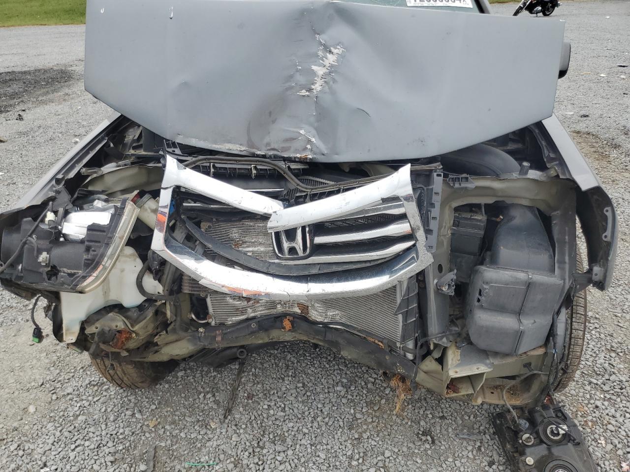 5FNYF4H55CB028312 2012 Honda Pilot Exl