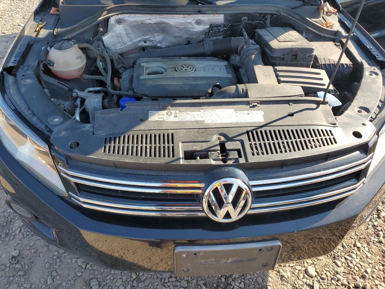 2013 Volkswagen Tiguan S VIN: WVGBV7AX1DW502660 Lot: 71685344