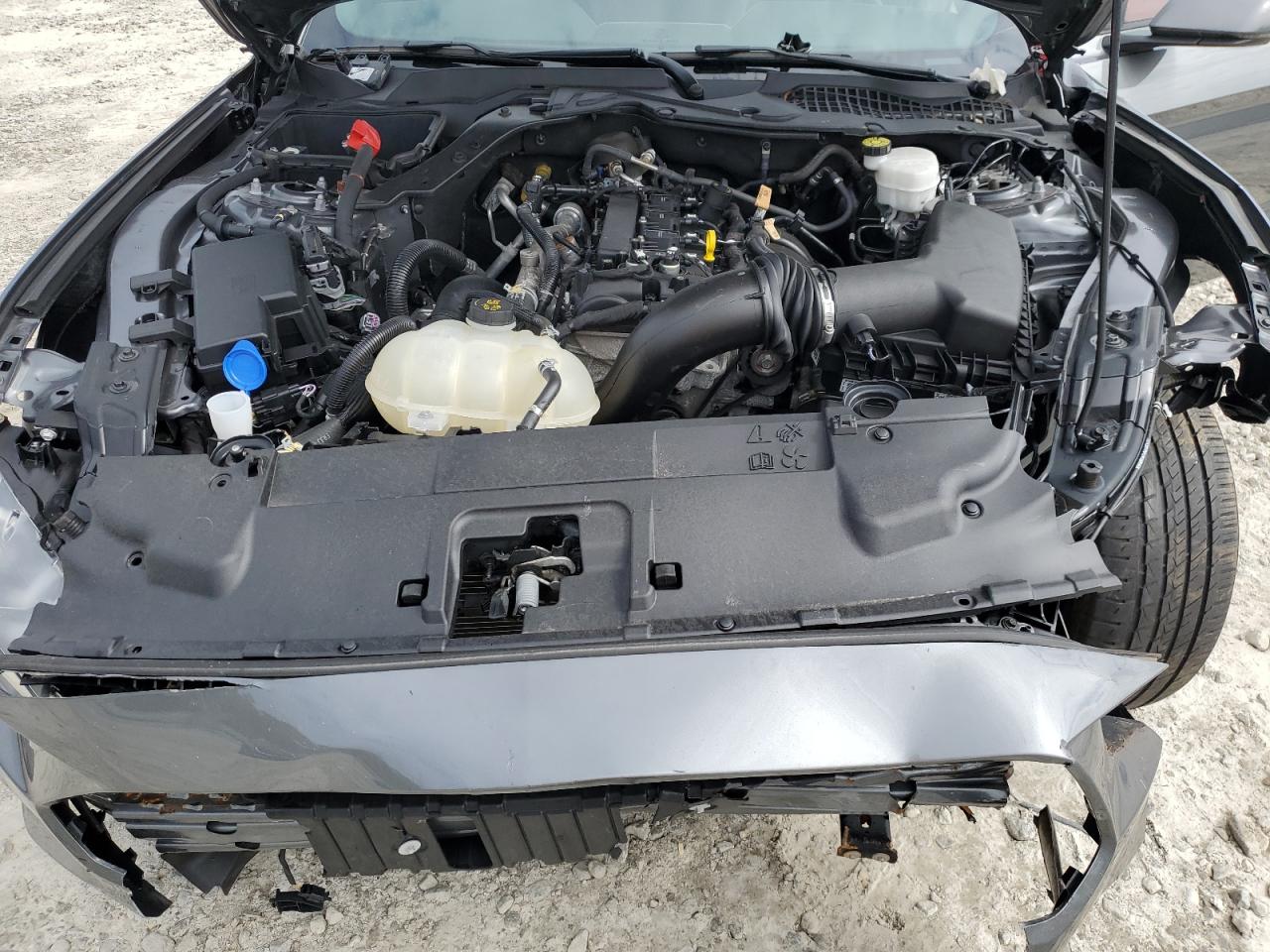 2022 Ford Mustang VIN: 1FA6P8THXN5141079 Lot: 69755264