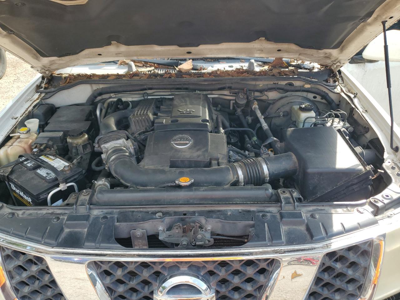 5N1AR18UX6C646186 2006 Nissan Pathfinder Le