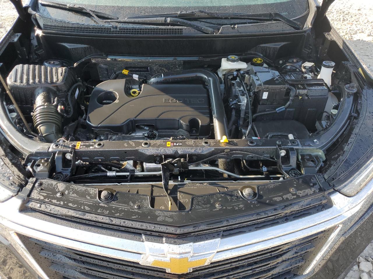 3GNAXKEG8PS141717 2023 Chevrolet Equinox Lt