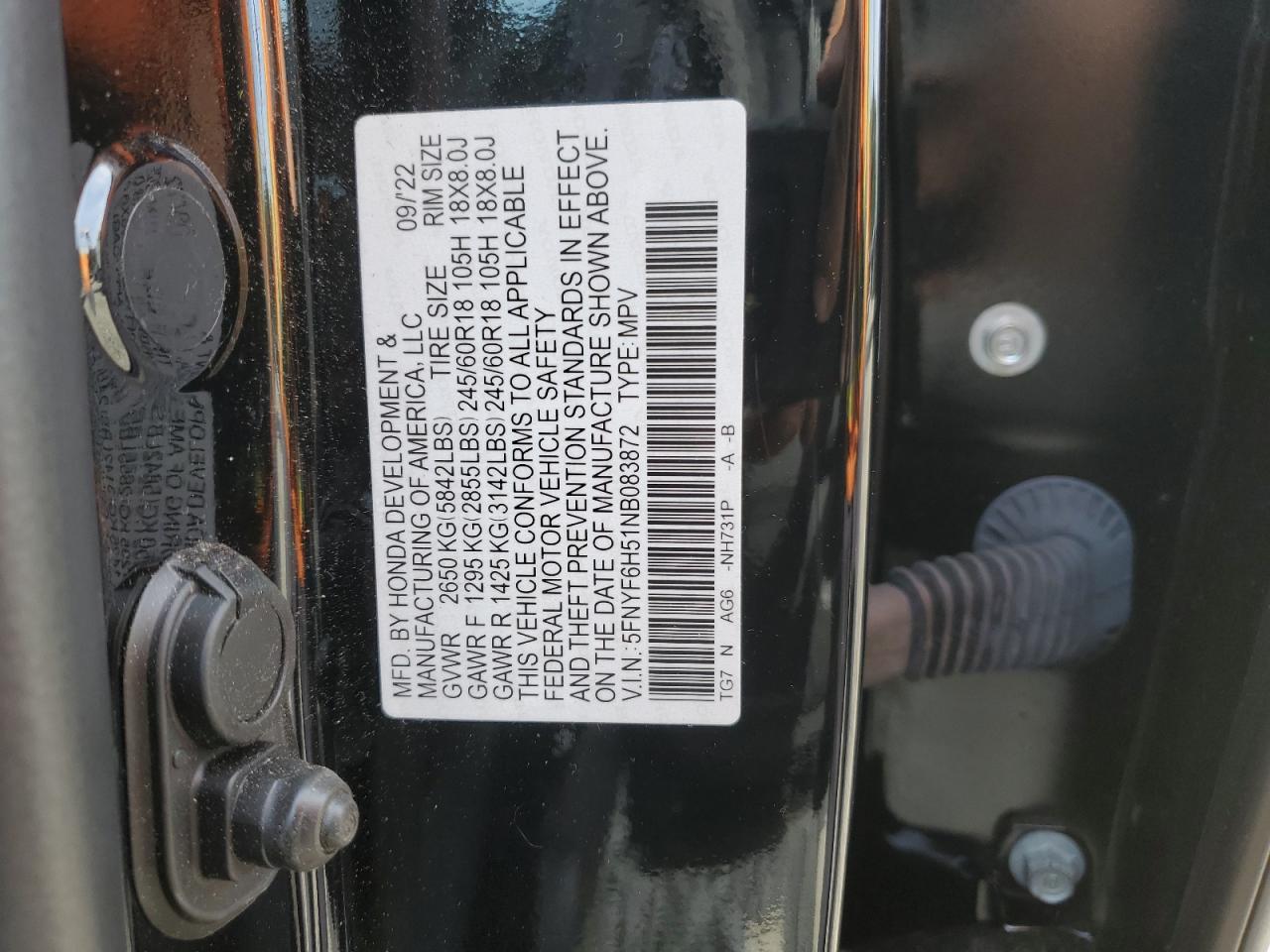 5FNYF6H51NB083872 2022 Honda Pilot Exl