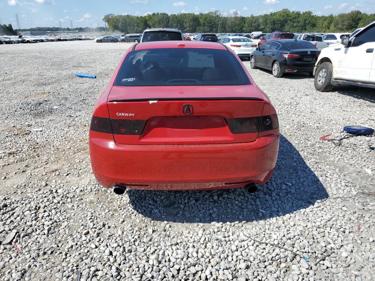 2006 Acura Tsx VIN: JH4CL96806C019692 Lot: 73134004