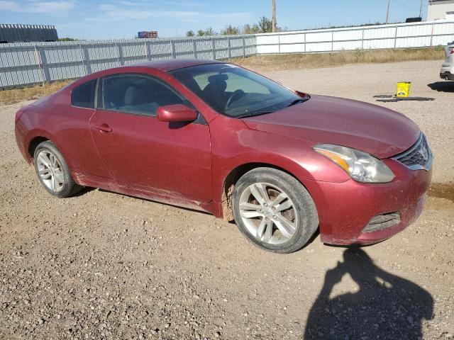  NISSAN ALTIMA 2013 Burgundy