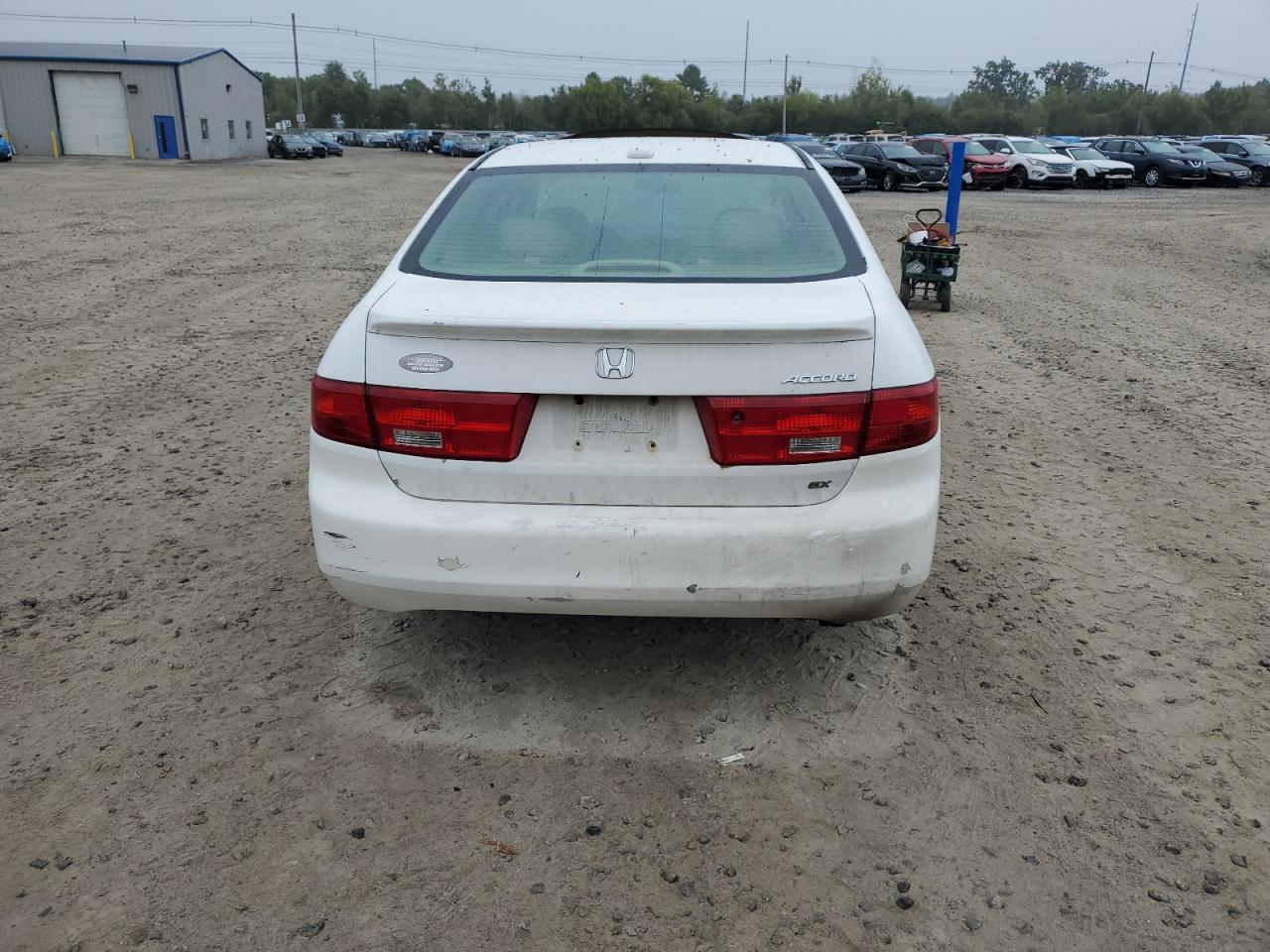 1HGCM568X5A108866 2005 Honda Accord Ex