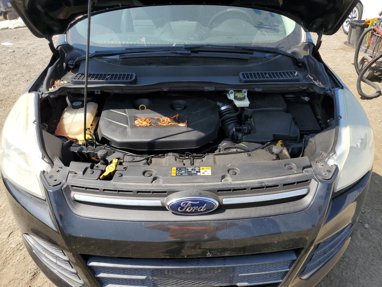 2013 Ford Escape Se VIN: 1FMCU0G99DUC35805 Lot: 71398204