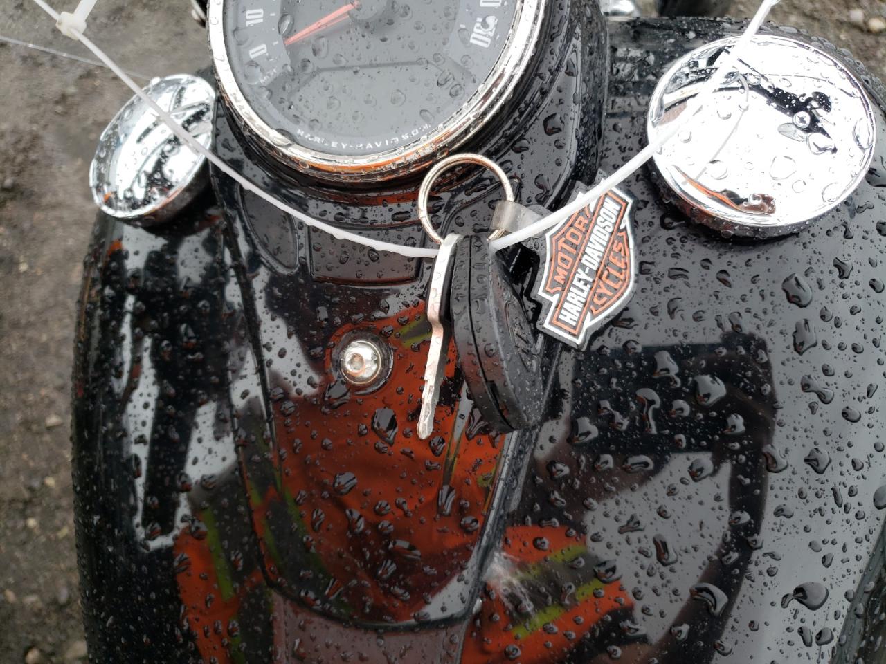 2018 Harley-Davidson Flsl Softail Slim VIN: 1HD1YDJ11JC024804 Lot: 66949404