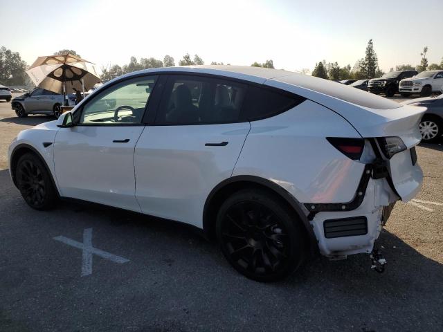 5YJYGDEE9MF231125 Tesla Model Y  2