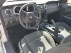 2005 Ford Mustang  for Sale in Kansas City, KS - Front End