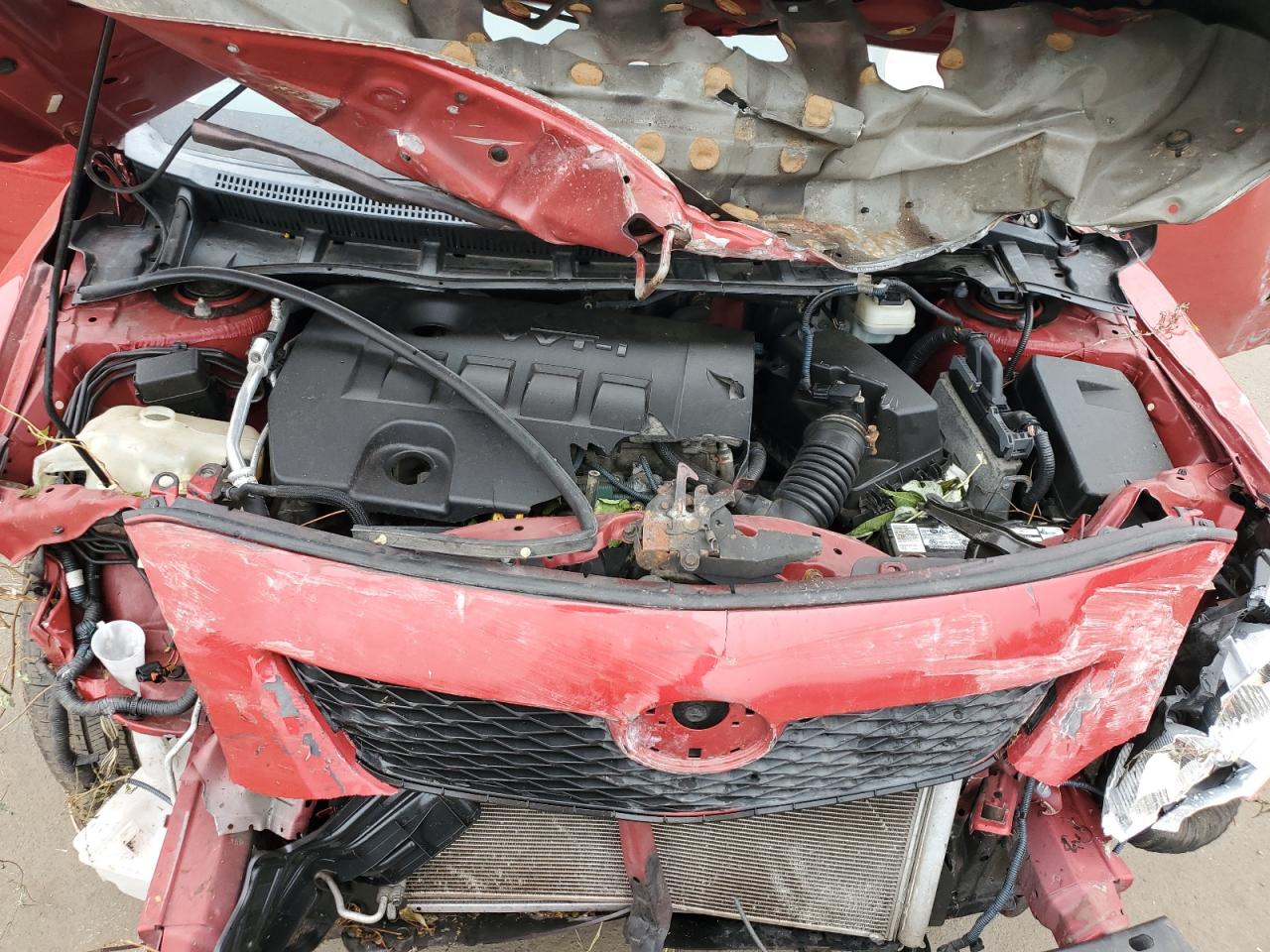 1NXBU40E99Z101667 2009 Toyota Corolla Base