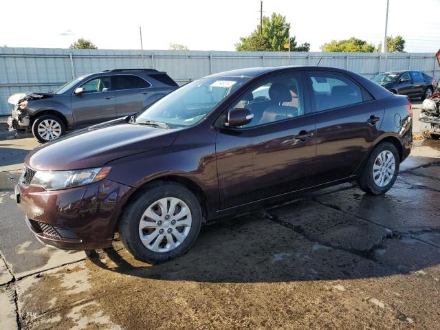 2010 Kia Forte Ex للبيع في Littleton، CO - Front End