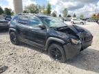 2019 Jeep Cherokee Trailhawk на продаже в Wayland, MI - Front End