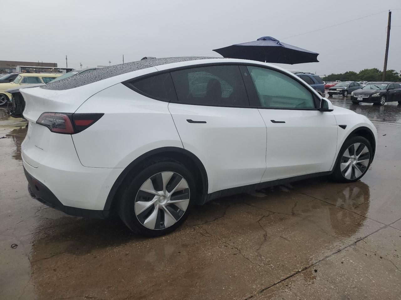 2022 Tesla Model Y VIN: 7SAYGDEE4NF329743 Lot: 67351474